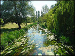 The River Stour at Godmersham