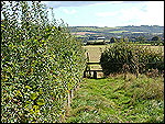 Ashford Countryside