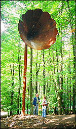 Art in Kings Wood Art in Kings Wood