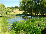 The River Stour at Godmersham